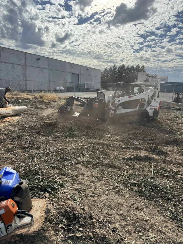 Local lawn care service in Merced, CA - Prado's Landscaping & Tree Service