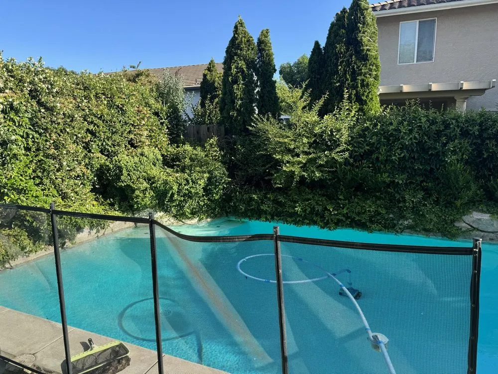 Affordable lawn care service for outdoor upgrades across Merced, CA - Prado's Landscaping & Tree Service