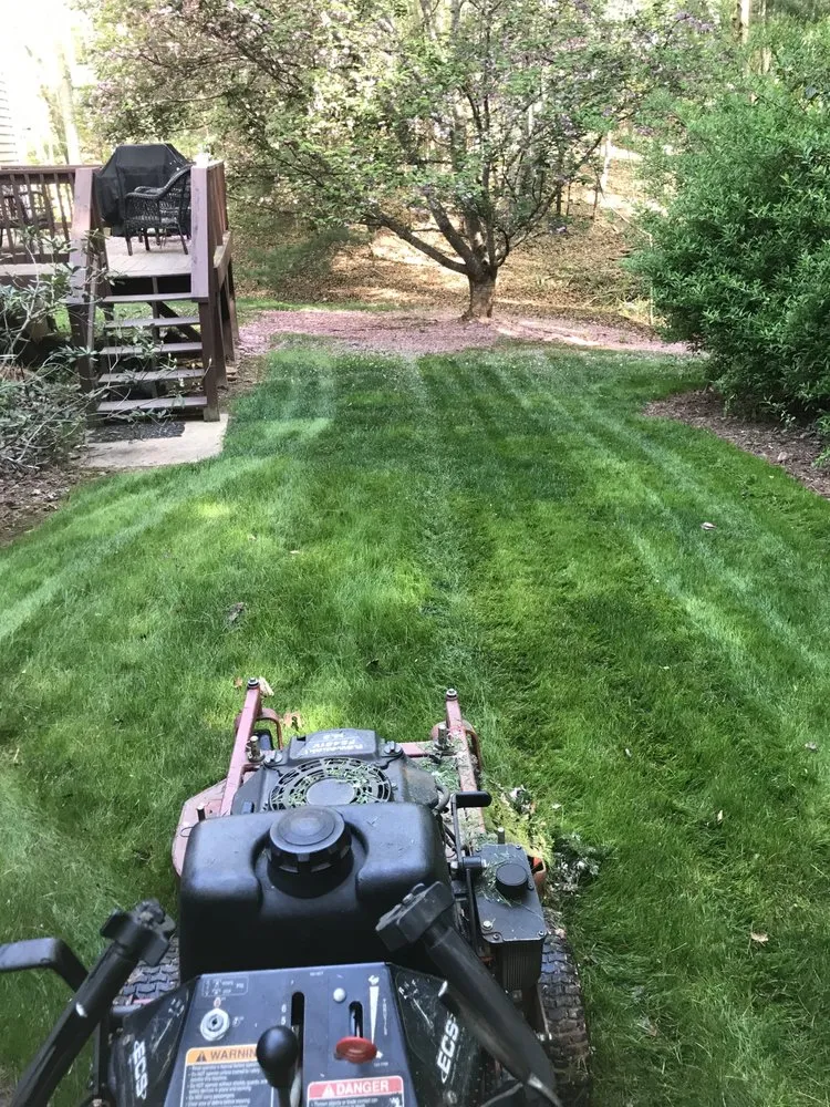 Top-rated yard cleanup service for beautiful yards in Asheville, NC by Prado’s Landscaping