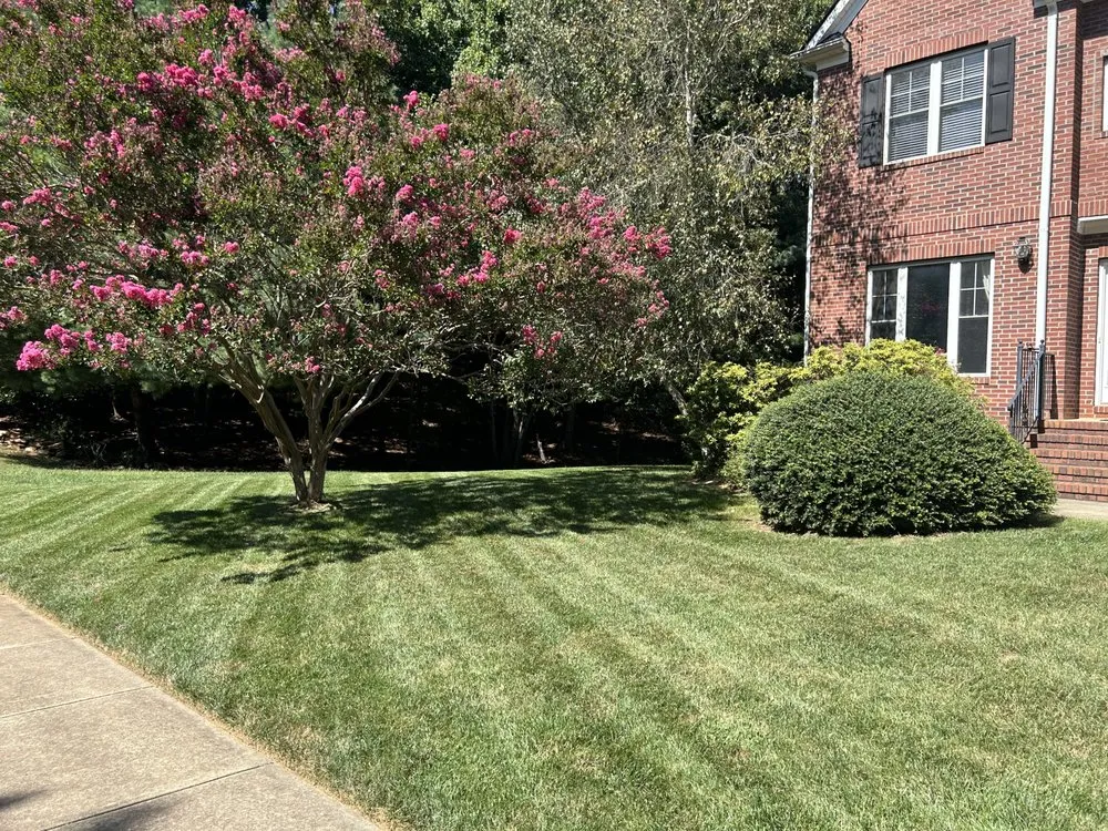 Custom yard maintenance for outdoor upgrades in Asheville, NC by Prado’s Landscaping