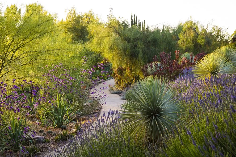 Custom landscape design for outdoor upgrades in San Rafael, CA by Prado's Landscaping