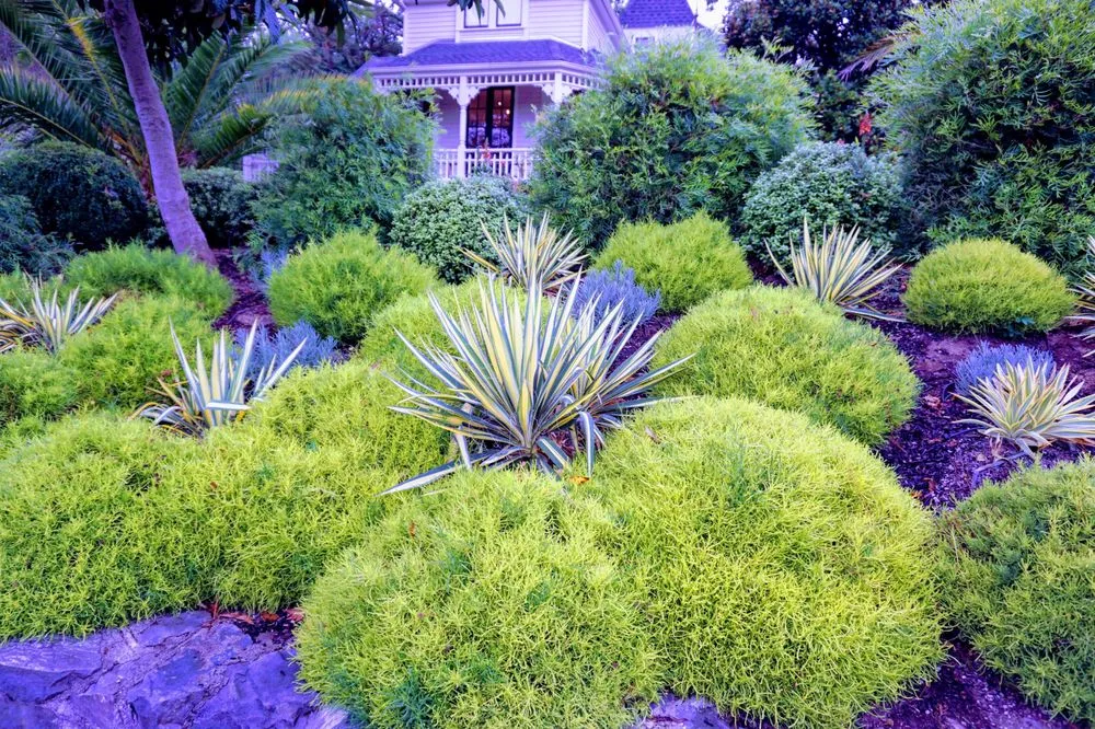 Affordable yard cleanup service for beautiful yards across San Rafael, CA - Prado's Landscaping