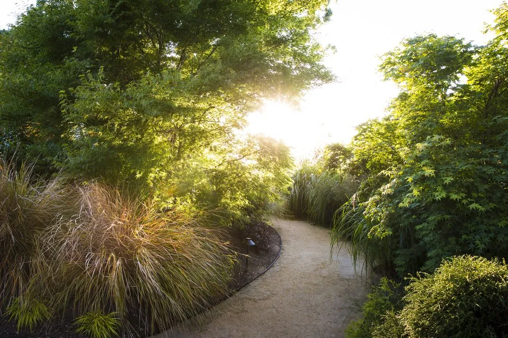 Reliable garden landscaping in San Rafael, CA - Prado's Landscaping