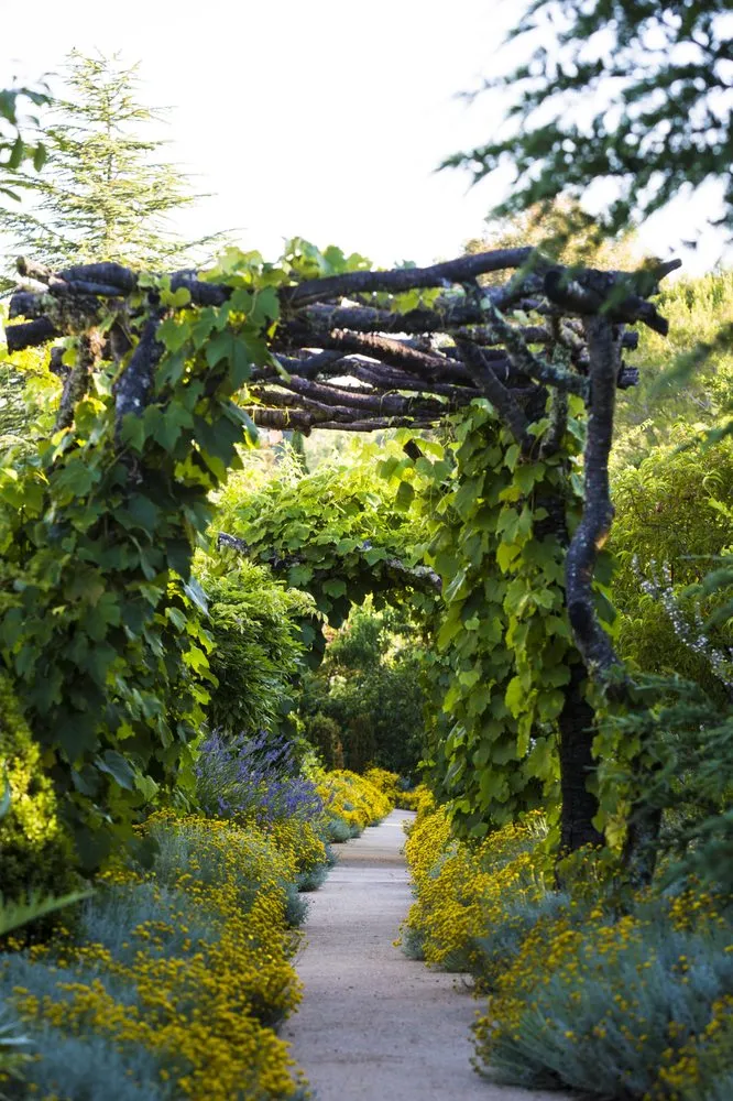 Local landscape installation for homes in San Rafael, CA by Prado's Landscaping
