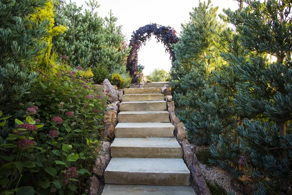 Trusted lawn care service in San Rafael, CA by Prado's Landscaping