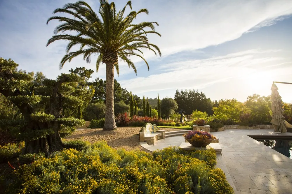 Expert lawn mowing service for beautiful yards in San Rafael, CA by Prado's Landscaping