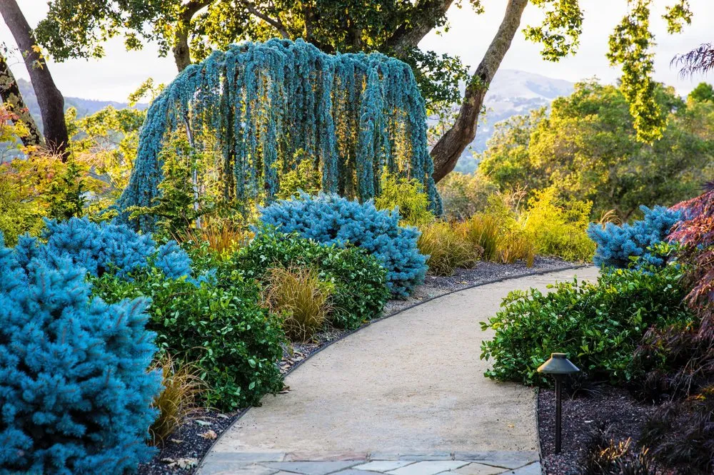 Expert landscape design with custom design in San Rafael, CA by Prado's Landscaping