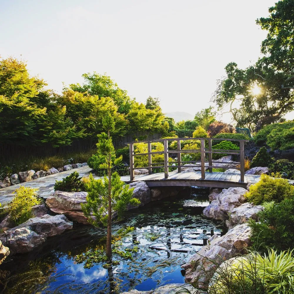 Affordable lawn care service experts serving San Rafael, CA - Prado's Landscaping