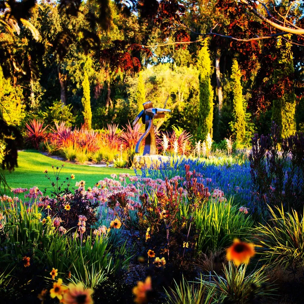 Affordable outdoor landscaping in San Rafael, CA by Prado's Landscaping