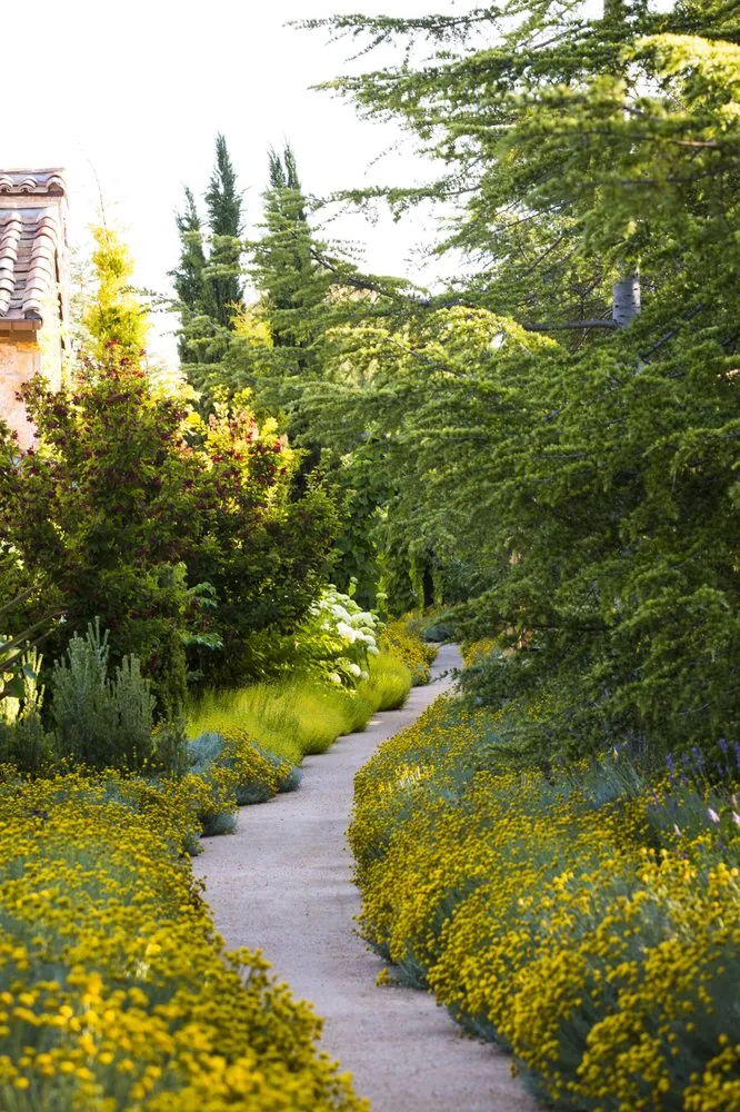 Expert outdoor landscaping in San Rafael, CA by Prado's Landscaping