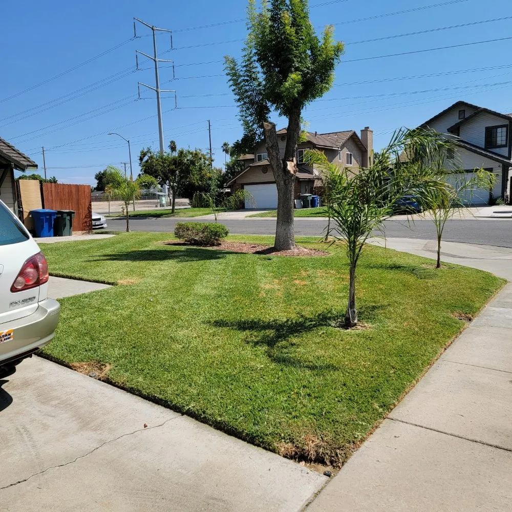Custom lawn care service in Ceres, CA - Prados Perfect Lawn Care Services & More