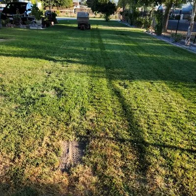 Prados Perfect Lawn Care Services & More Logo