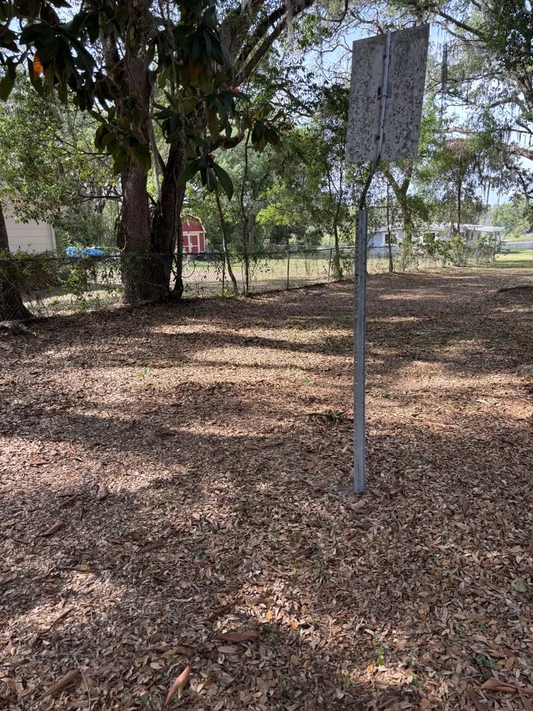 Professional yard maintenance in Orlando, FL by Praestans Homes