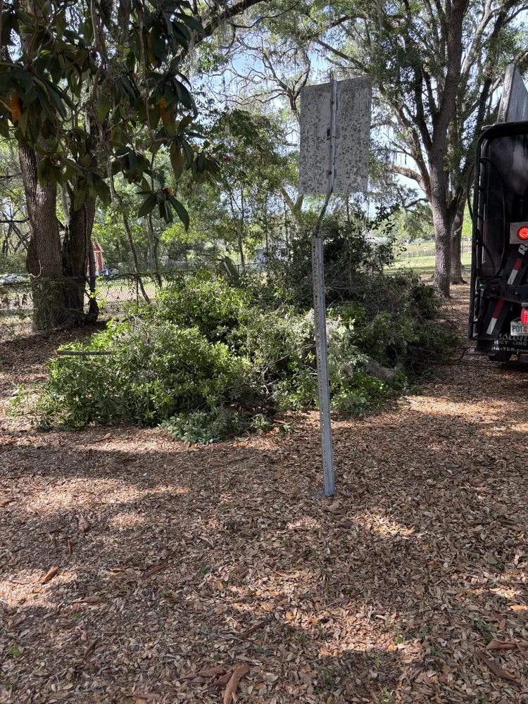 Custom outdoor landscaping in Orlando, FL by Praestans Homes