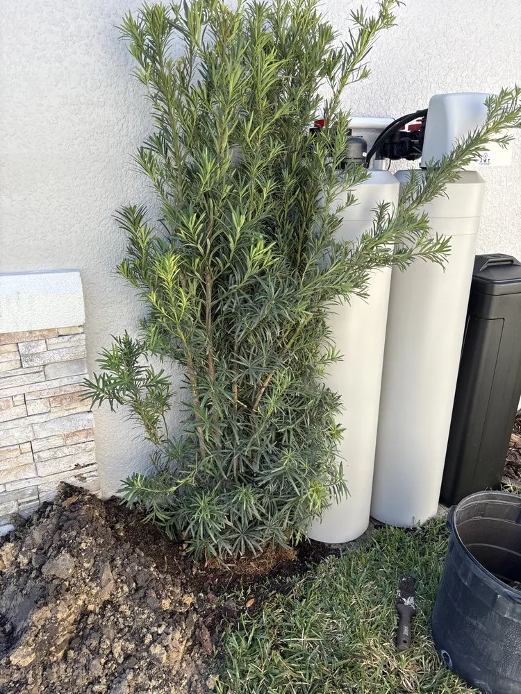 Trusted lawn care service in Orlando, FL - Praestans Homes