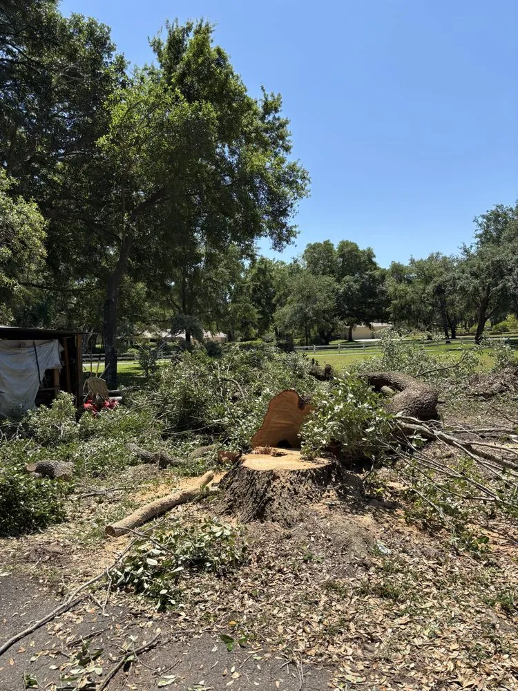 Trusted landscaping services in Orlando, FL by Praestans Homes