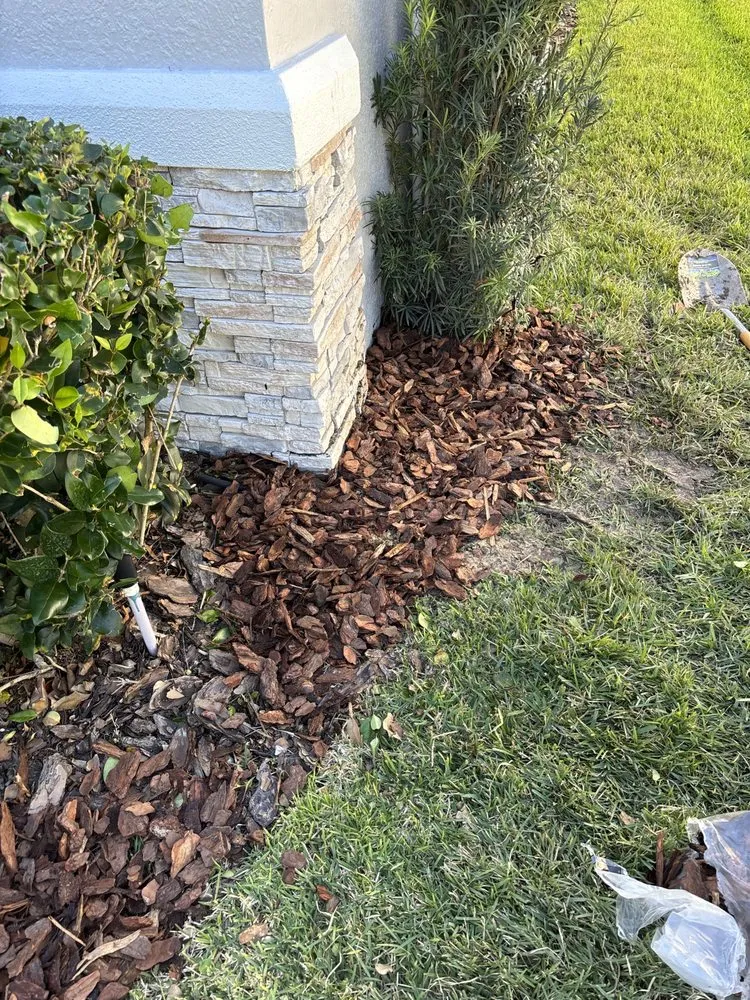 Reliable garden landscaping in Orlando, FL - Praestans Homes