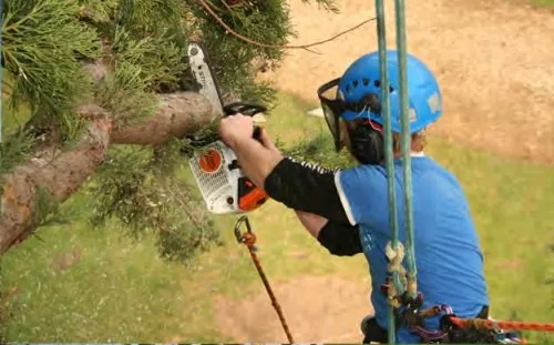 Local garden landscaping in Portland, OR - Pragmatic Tree Health Care