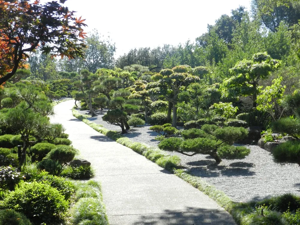 Custom residential landscaping in Portland, OR by Pragmatic Tree Health Care