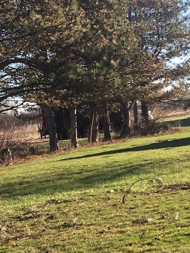 Affordable lawn care service experts serving London, OH - Prairie Creek Lawnscapes