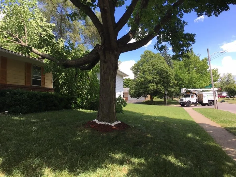 Professional outdoor landscaping experts serving London, OH - Prairie Creek Lawnscapes