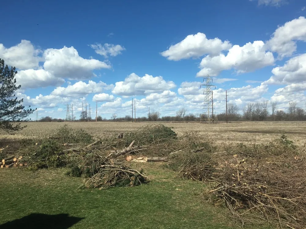 Professional landscape design for year-round maintenance across London, OH - Prairie Creek Lawnscapes