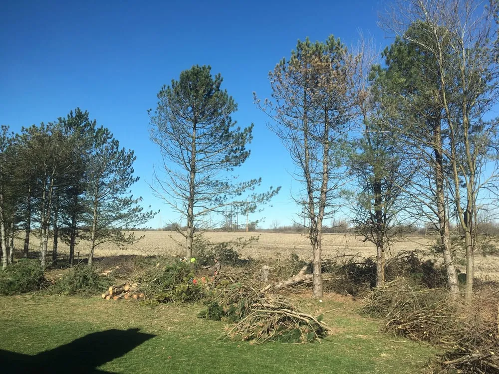 Top-rated landscape design in London, OH by Prairie Creek Lawnscapes