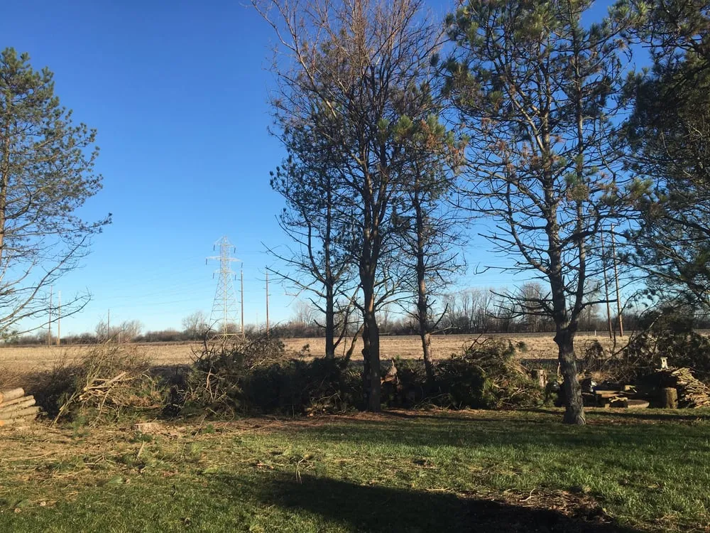 Top-rated lawn mowing service in London, OH by Prairie Creek Lawnscapes