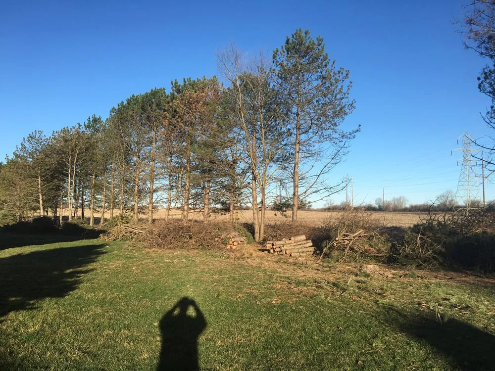 Custom outdoor landscaping near you across London, OH - Prairie Creek Lawnscapes