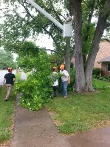 Expert garden landscaping for homes across London, OH - Prairie Creek Lawnscapes