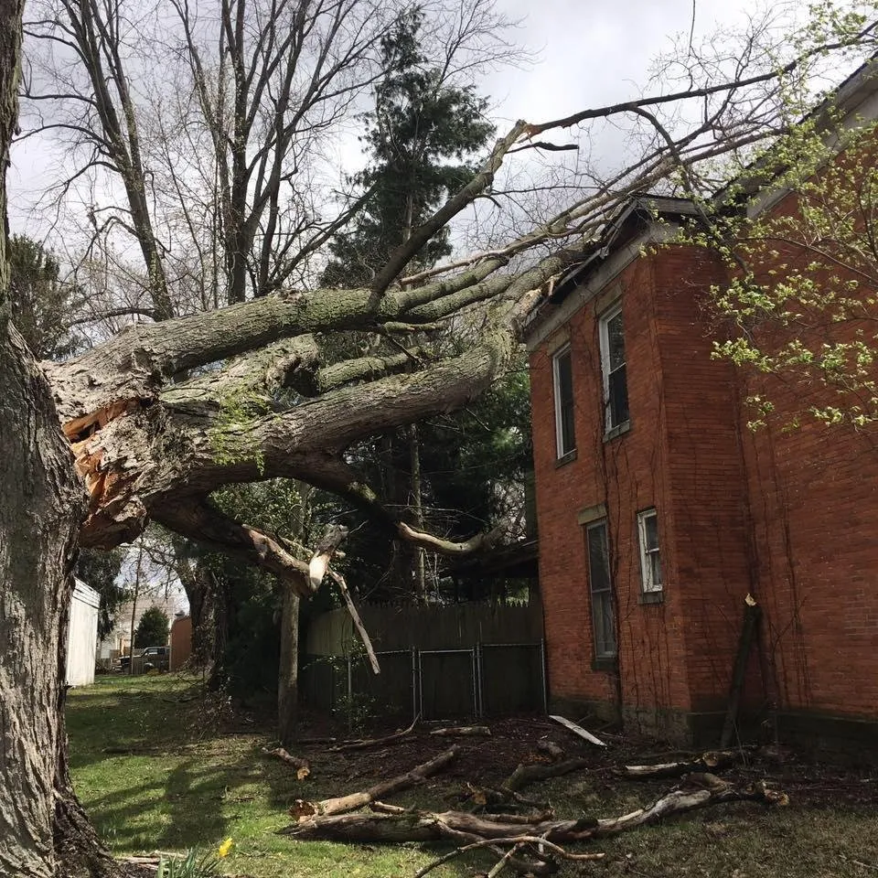 Expert residential landscaping in London, OH - Prairie Creek Lawnscapes