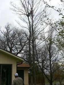 Trusted yard cleanup service experts serving London, OH - Prairie Creek Lawnscapes