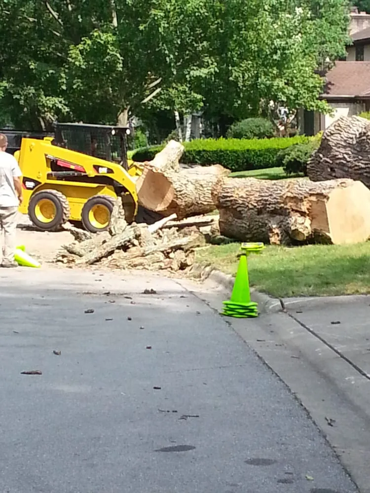 Expert lawn mowing service with custom design in London, OH by Prairie Creek Lawnscapes