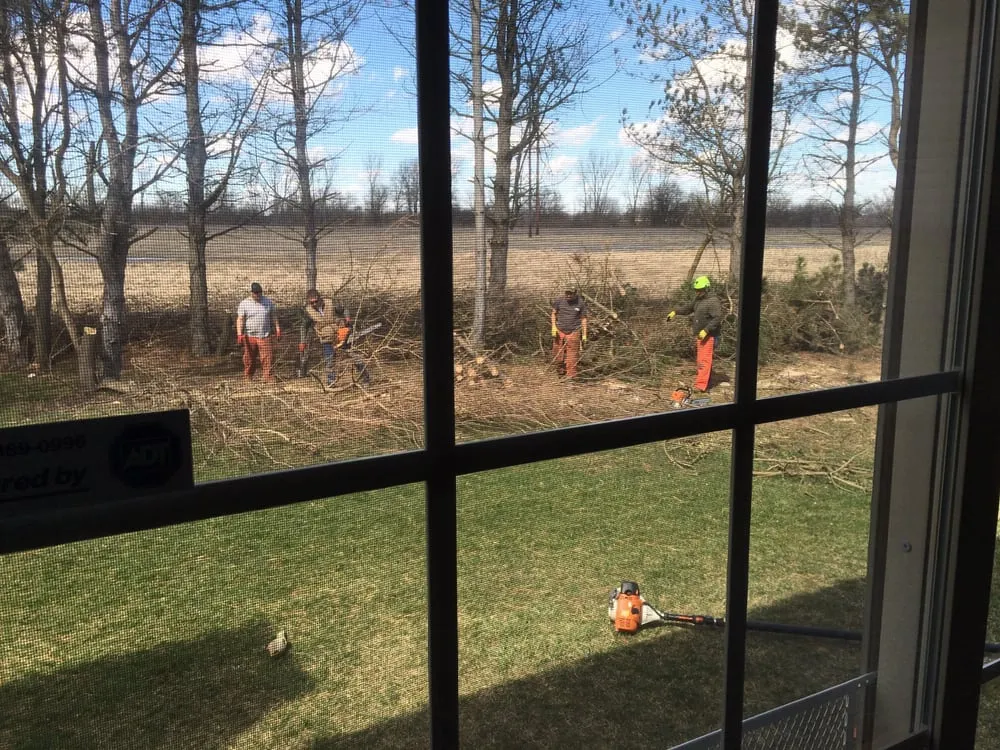 Affordable yard maintenance in London, OH - Prairie Creek Lawnscapes