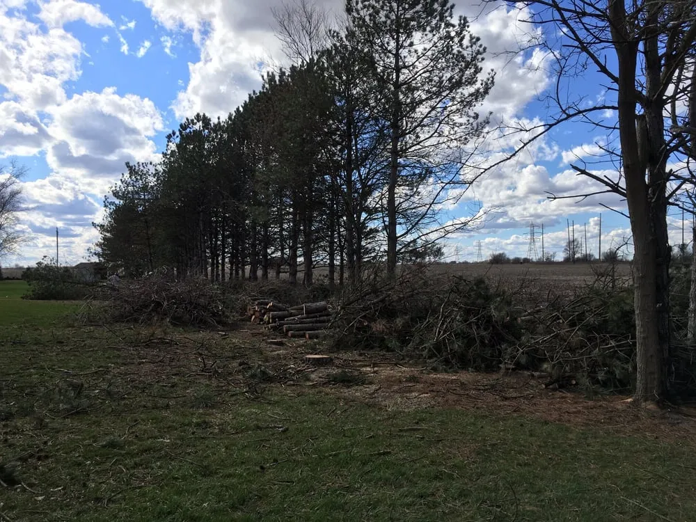 Top-rated yard cleanup service in London, OH by Prairie Creek Lawnscapes