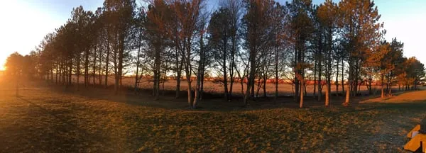 Prairie Creek Lawnscapes