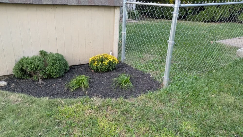 Expert lawn mowing service in Hutchinson, KS - Prairie Edge Landscapes