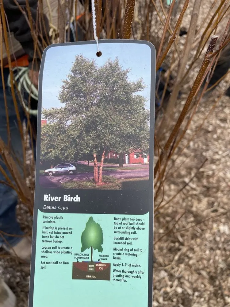 Reliable landscape design experts serving Hutchinson, KS - Prairie Hills Nursery and Plant Shop