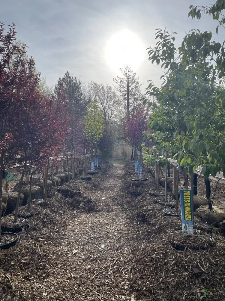 Trusted landscaping services for beautiful yards in Hutchinson, KS by Prairie Hills Nursery and Plant Shop