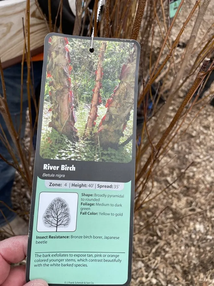 Professional lawn care service for beautiful yards across Hutchinson, KS - Prairie Hills Nursery and Plant Shop