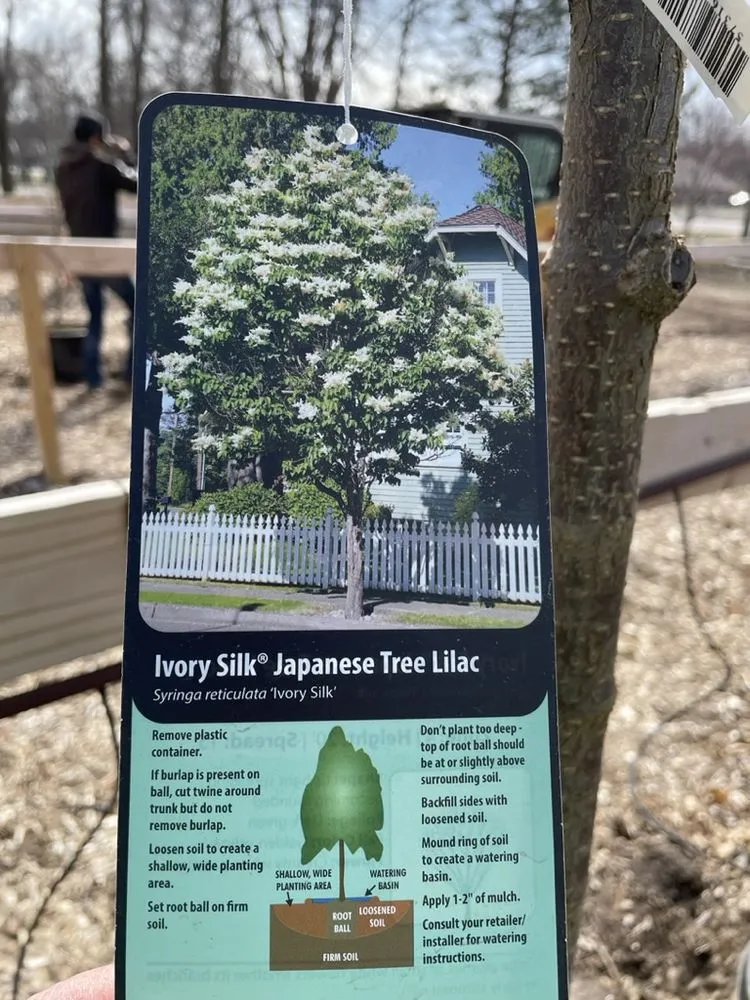 Reliable landscape installation in Hutchinson, KS by Prairie Hills Nursery and Plant Shop