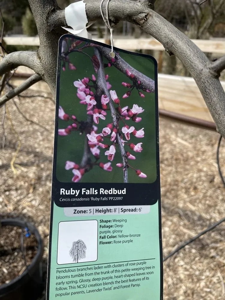 Local lawn mowing service in Hutchinson, KS by Prairie Hills Nursery and Plant Shop