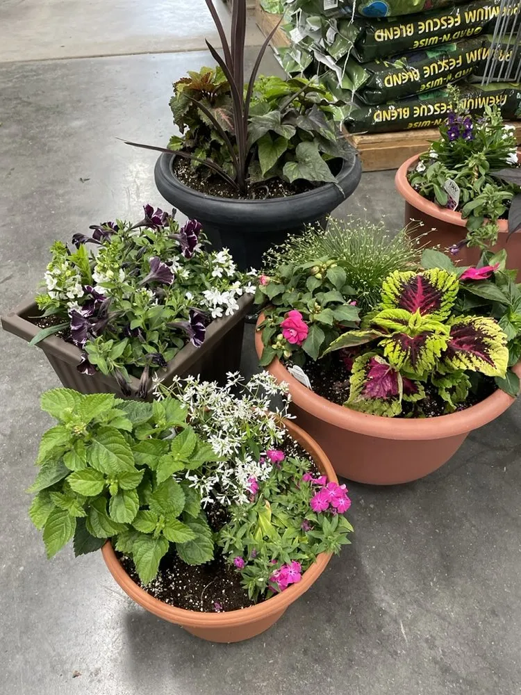 Professional lawn mowing service experts serving Hutchinson, KS - Prairie Hills Nursery and Plant Shop