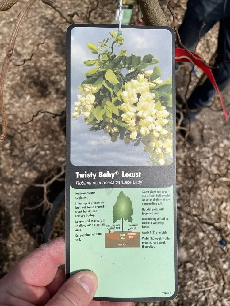 Expert lawn care service for outdoor upgrades in Hutchinson, KS by Prairie Hills Nursery and Plant Shop