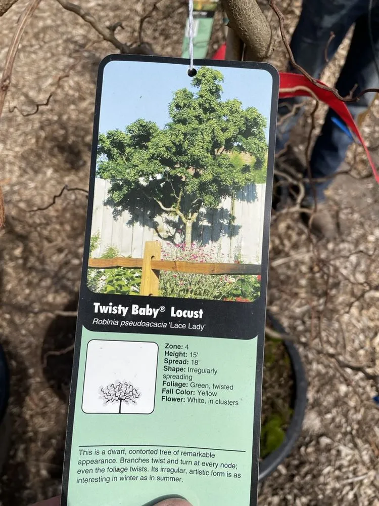 Affordable landscape installation in Hutchinson, KS by Prairie Hills Nursery and Plant Shop