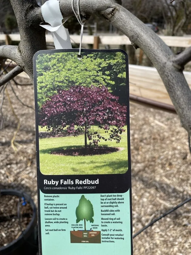 Affordable lawn mowing service in Hutchinson, KS by Prairie Hills Nursery and Plant Shop