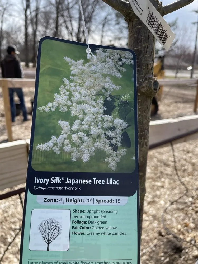 Top-rated landscape installation experts serving Hutchinson, KS - Prairie Hills Nursery and Plant Shop