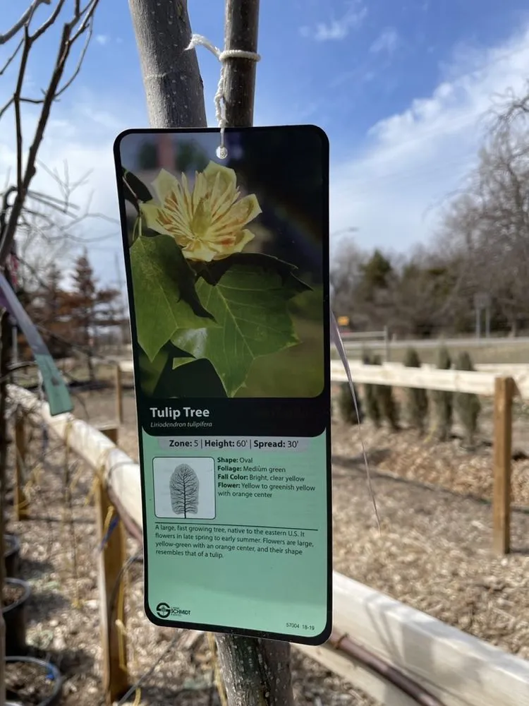 Reliable garden landscaping in Hutchinson, KS by Prairie Hills Nursery and Plant Shop