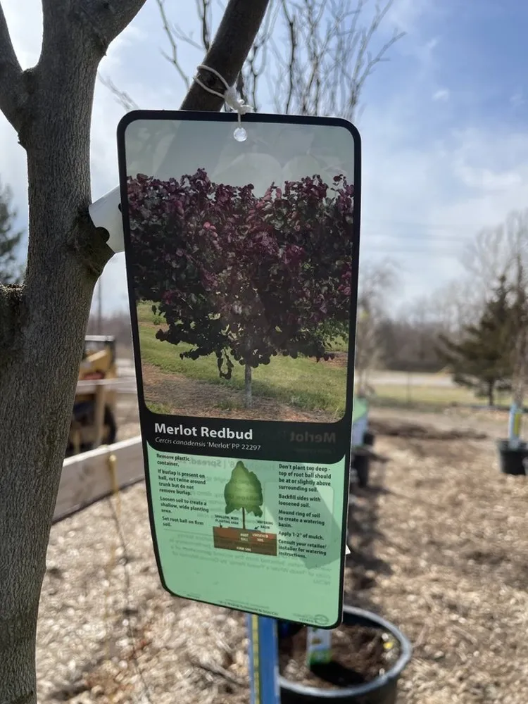 Local landscape design for residential properties across Hutchinson, KS - Prairie Hills Nursery and Plant Shop