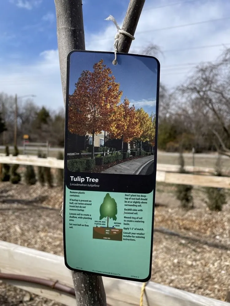 Trusted landscape installation for beautiful yards across Hutchinson, KS - Prairie Hills Nursery and Plant Shop